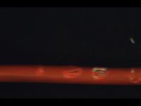 Augmt project thumbnail