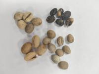 testing beans project thumbnail