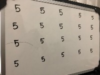 Dataset Image