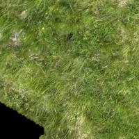 OLESKA_2026 project thumbnail