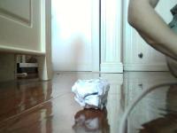 paper-ball-detection project thumbnail