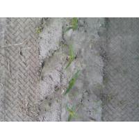 SIRCA-Plants project thumbnail