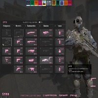 Dataset Image