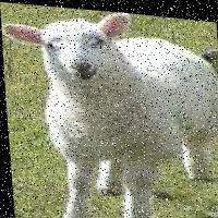 Dataset Image