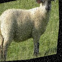 Dataset Image