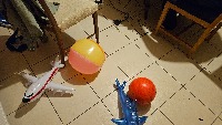 Dataset Image