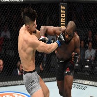 UFC object detection project thumbnail