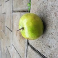 Fresh_Produce project thumbnail