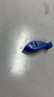 blue sma project thumbnail