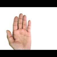 palmistry project thumbnail