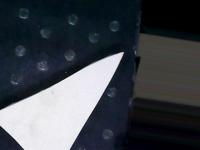bird2_gar project thumbnail