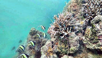 All_Datasets-updated copy project thumbnail
