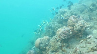 All_Datasets project thumbnail