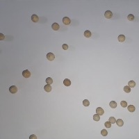 Pepper Seeds Detection project thumbnail