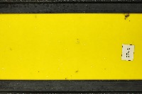 Yellow Sticky Traps project thumbnail