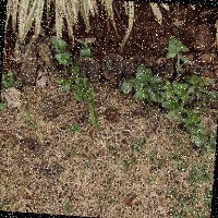 Agriculture Object Detection Model by Roboflow Demo Projects