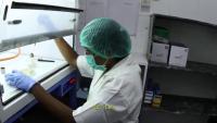 ppe2 project thumbnail