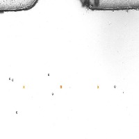celldetection project thumbnail