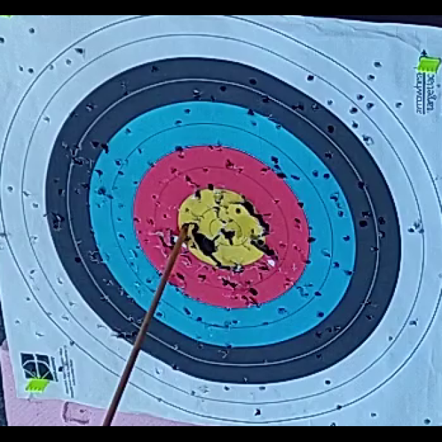 arrow_keypoints_work Keypoint Detection Dataset by archery