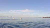Dalian Dataset Buoys and Beacons project thumbnail