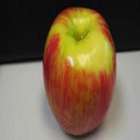 Foods 2 project thumbnail