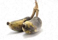 Rotten_Fresh_Banana_Detection1 project thumbnail