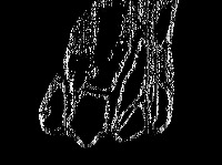Dataset_10 project thumbnail
