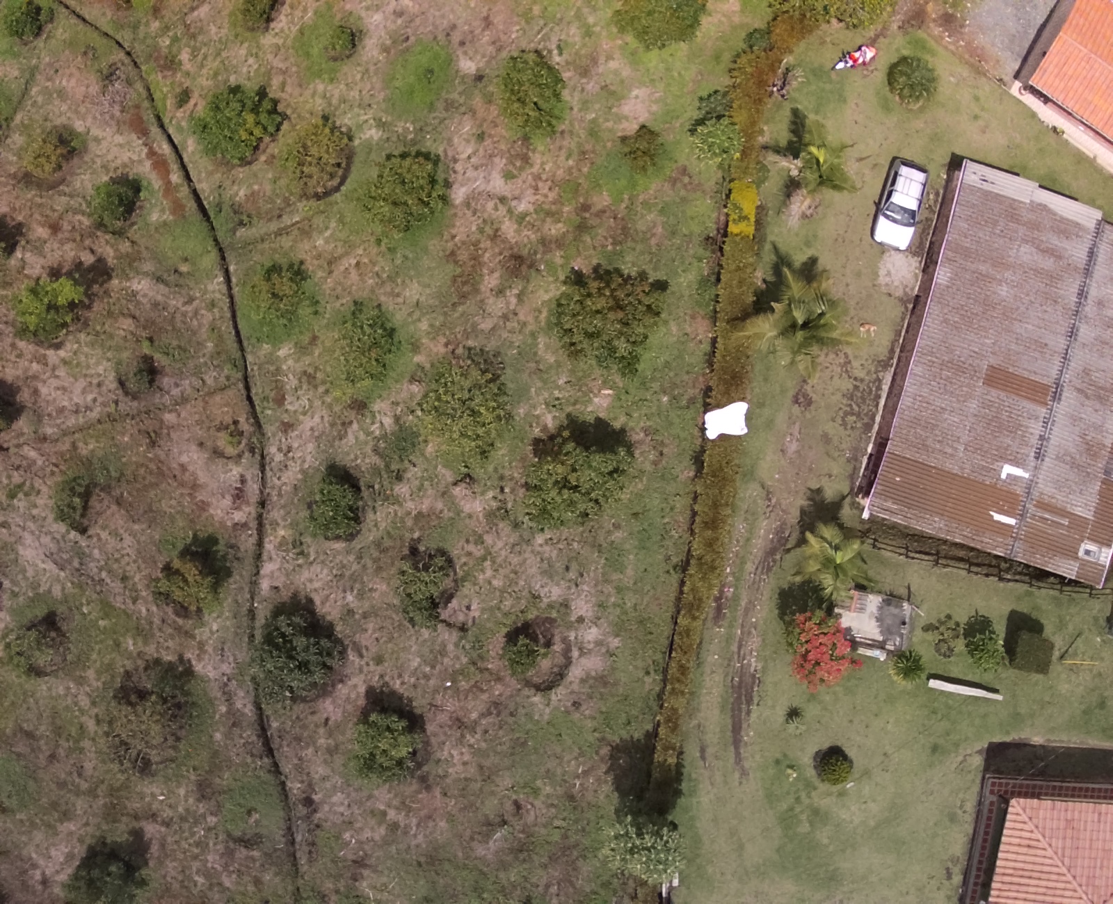 CROPS Object Detection Model by PROYECTOCULTIVO