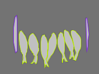 Annotation Visualization