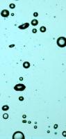 bubble-segmentation-real project thumbnail