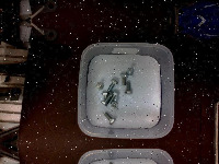 screw-project project thumbnail