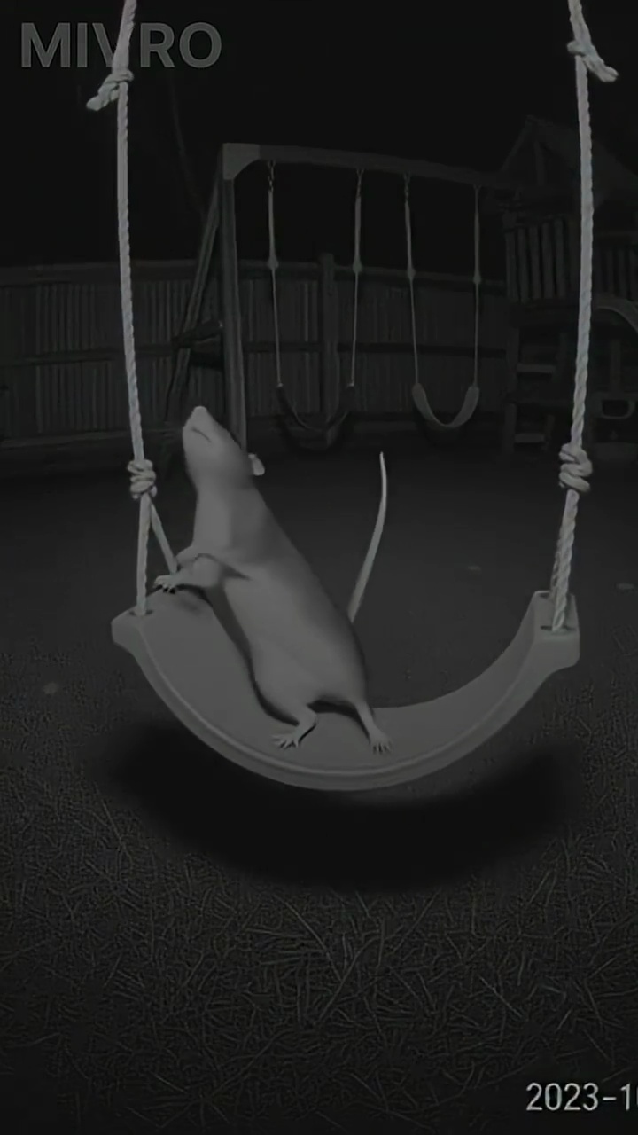 Mouse Object Detection Mouse Object Detection Dataset by shield