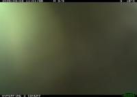 Artiodactyla project thumbnail