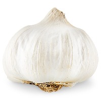 Garlic Detection project thumbnail