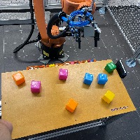 Dataset Image