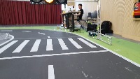 Dataset Image