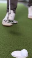 Level-Sports-Putt project thumbnail