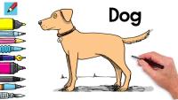 Cat-Dog Classification project thumbnail