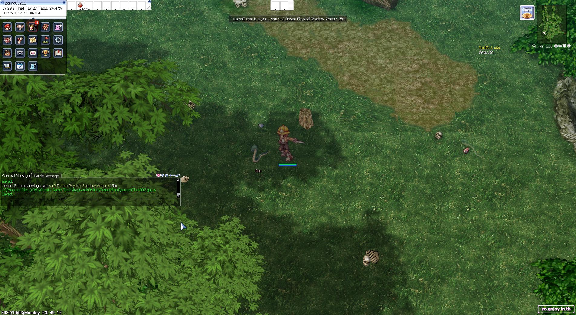 visual bot Object Detection Dataset by Ragnarok Online