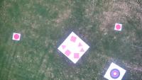 First Yolo model  project thumbnail