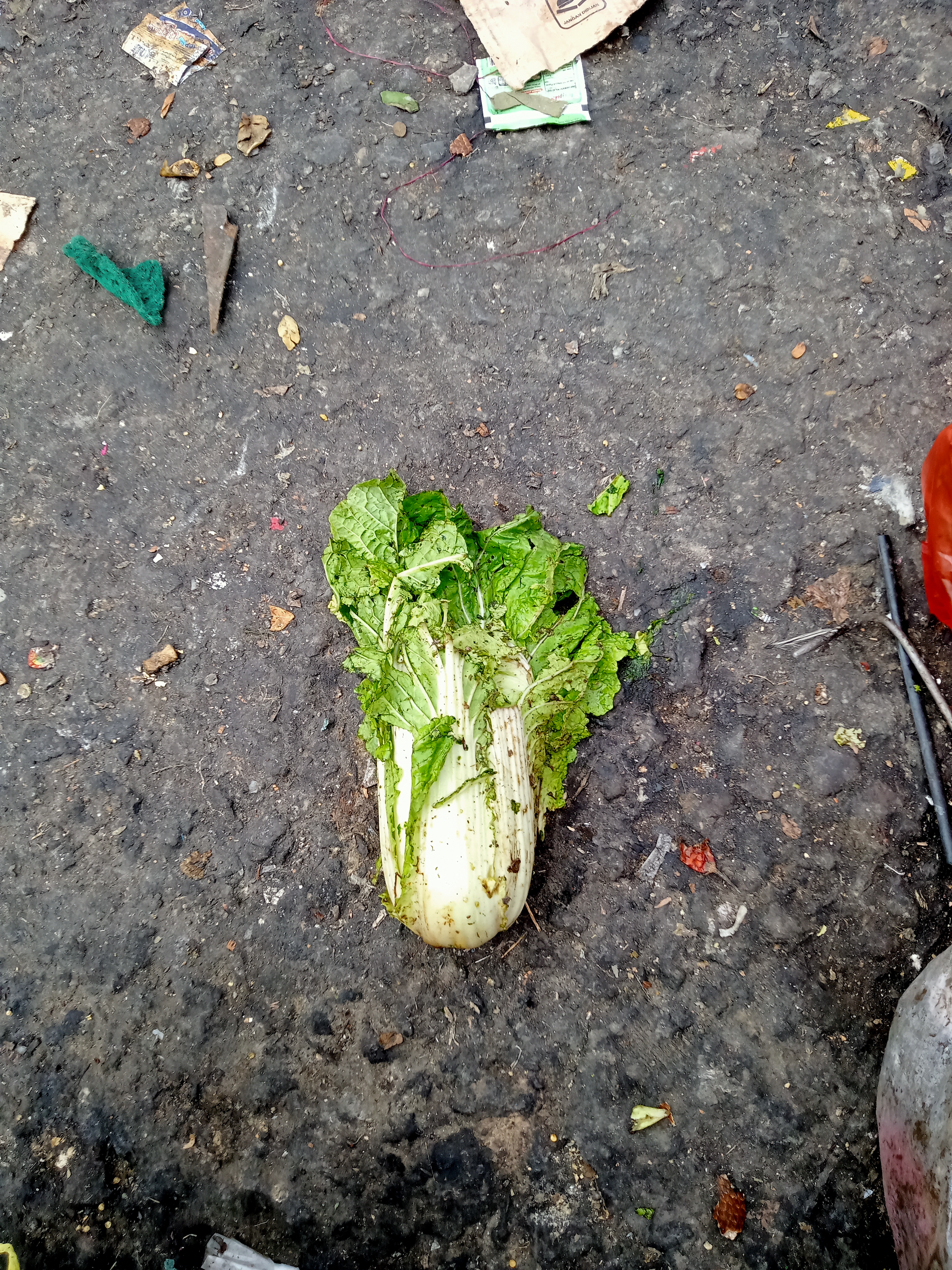 Sampah Sayur Object Detection Dataset by Project Skripsi Deteksi Sampah ...