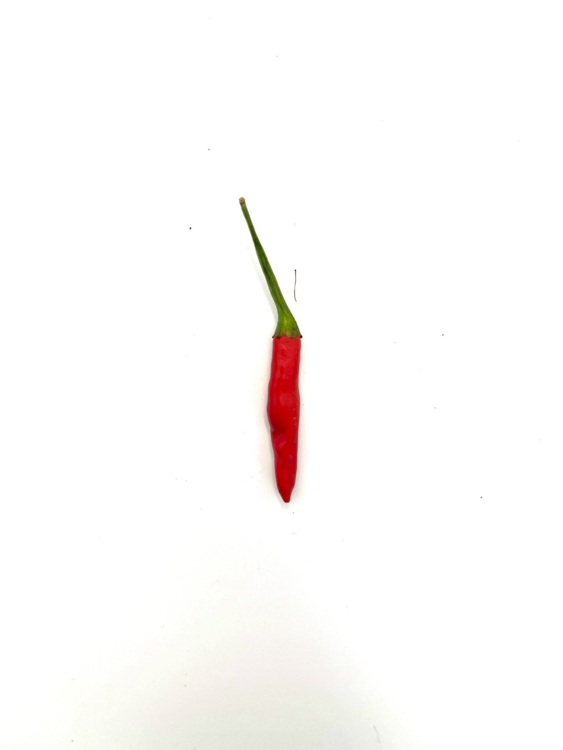 Python Chili Chili Project_2 Semantic Segmentation Model by Thai Pattern