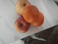 fruit project thumbnail