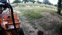 Palm Oil Plantations project thumbnail