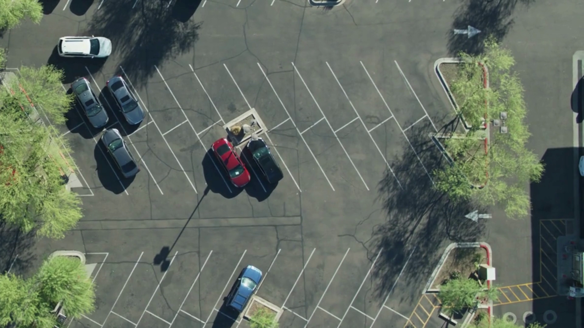 YOLO11 OBB Car Parking Lot Object Detection Model by moldir