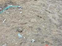 Beach Waste Detection project thumbnail