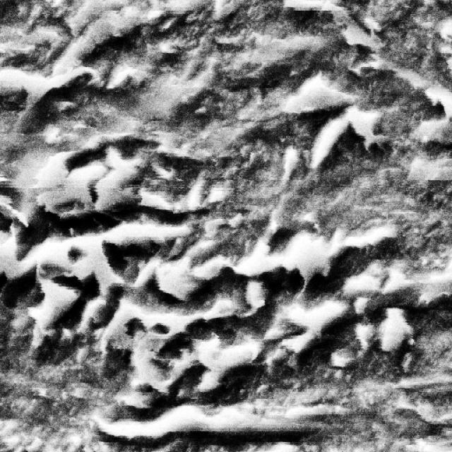 Revised_Test Instance Segmentation Dataset by GL