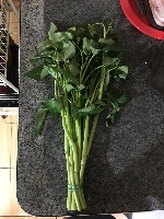 Kangkong project thumbnail
