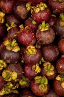 cyrus-frutis project thumbnail