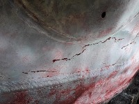 Cracks project thumbnail